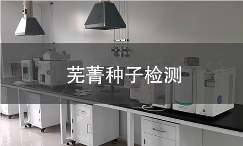 蕪菁種子檢測,蕪菁種子檢測機(jī)構(gòu),蕪菁種子檢測報告,中析研究所檢測中心