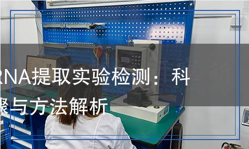 真菌菌絲總RNA提取實驗檢測：科學(xué)嚴(yán)謹(jǐn)?shù)牟襟E與方法解析