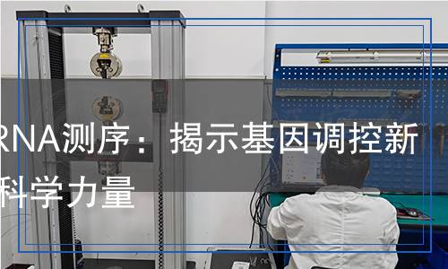 Small RNA測序：揭示基因調(diào)控新天地的科學(xué)力量