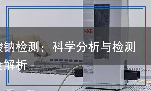 苯磺酸鈉檢測：科學分析與檢測方法全解析