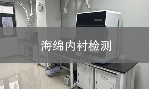海綿內(nèi)襯檢測,海綿內(nèi)襯檢測機構(gòu),海綿內(nèi)襯檢測報告,中析檢測中心