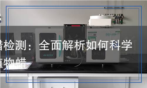 植物蠟檢測(cè)：全面解析如何科學(xué)檢測(cè)植物蠟