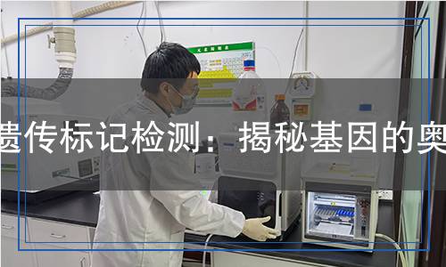 遺傳標記檢測：揭秘基因的奧秘