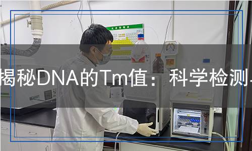 揭秘DNA的Tm值：科學檢測與分析