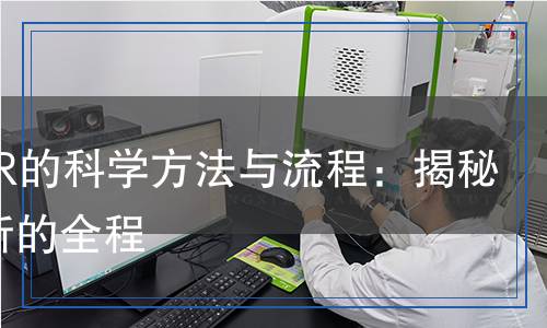 檢測SSR的科學方法與流程：揭秘精準分析的全程