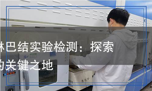小鼠腘窩淋巴結(jié)實(shí)驗(yàn)檢測：探索免疫反應(yīng)的關(guān)鍵之地