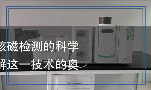 多糖一維和二維核磁檢測的科學(xué)解析：全方位了解這一技術(shù)的奧秘
