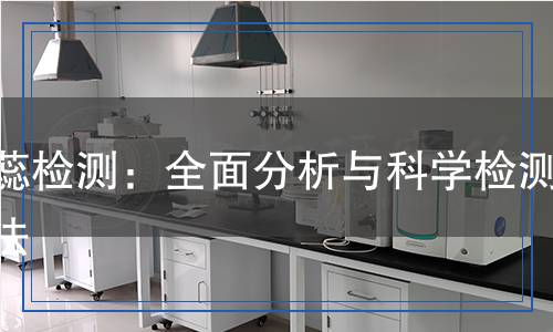 石蕊檢測：全面分析與科學(xué)檢測方法