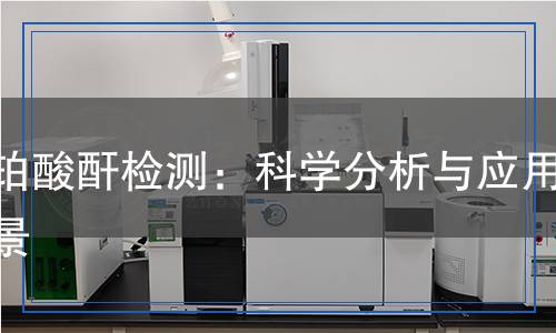 琥珀酸酐檢測：科學分析與應(yīng)用前景