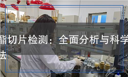 聚酯切片檢測：全面分析與科學(xué)方法