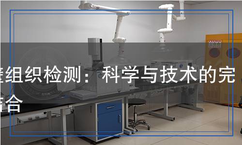 薄壁組織檢測(cè)：科學(xué)與技術(shù)的完美結(jié)合