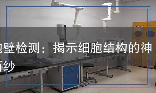 細胞壁檢測：揭示細胞結(jié)構(gòu)的神秘面紗