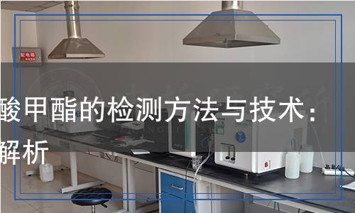 脂肪酸甲酯的檢測(cè)方法與技術(shù)：全面解析