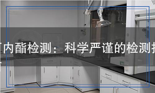 丁內(nèi)酯檢測(cè)：科學(xué)嚴(yán)謹(jǐn)?shù)臋z測(cè)指南