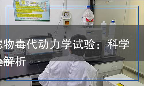 可瀝濾物毒代動力學試驗：科學檢測全解析