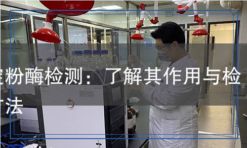 異淀粉酶檢測(cè)：了解其作用與檢測(cè)方法