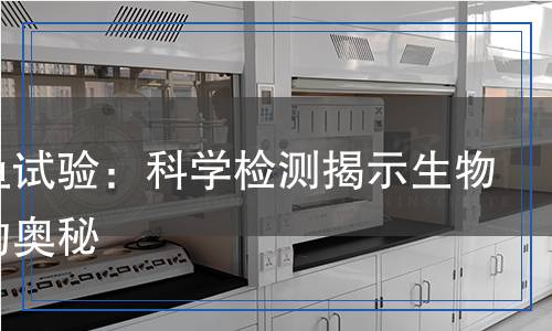 斑馬魚試驗：科學(xué)檢測揭示生物反應(yīng)的奧秘