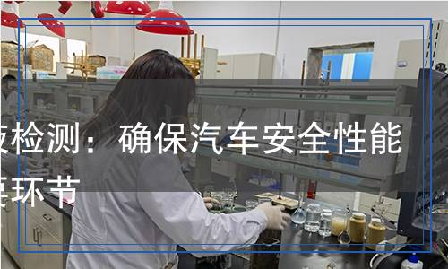 防凍液檢測(cè):確保汽車(chē)安全性能的重要環(huán)節(jié) 防凍液檢測(cè):確保汽車(chē)安全性能的重要環(huán)節(jié)