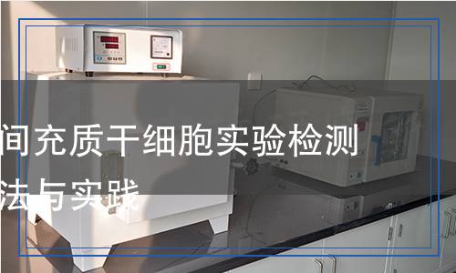 原代大鼠間充質(zhì)干細胞實驗檢測：科學方法與實踐