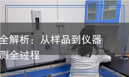 沼氣檢測全解析：從樣品到儀器，科學檢測全過程