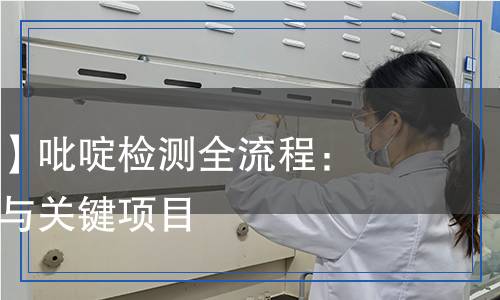 【深度解析】吡啶檢測(cè)全流程：方法、儀器與關(guān)鍵項(xiàng)目