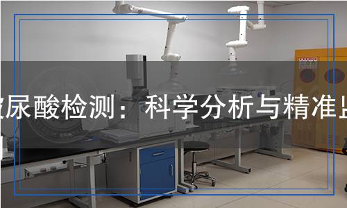 玻尿酸檢測：科學分析與精準監(jiān)測