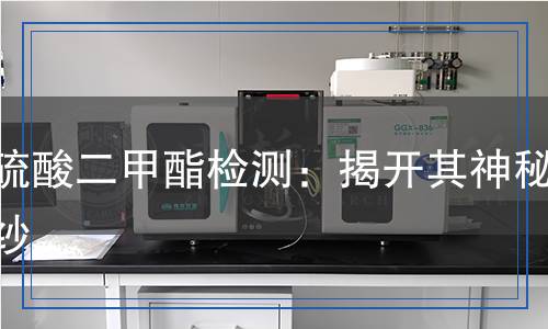 亞硫酸二甲酯檢測：揭開其神秘面紗