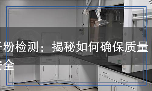 膩?zhàn)臃蹤z測：揭秘如何確保質(zhì)量和安全