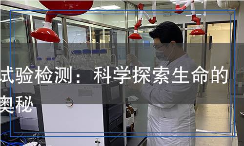 突變?cè)囼?yàn)檢測(cè)：科學(xué)探索生命的深層奧秘