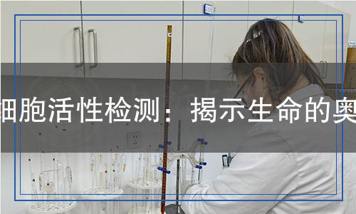 細(xì)胞活性檢測(cè)：揭示生命的奧秘