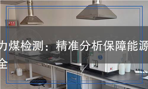 動(dòng)力煤檢測(cè)：精準(zhǔn)分析保障能源安全