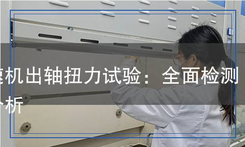 減速機(jī)出軸扭力試驗(yàn)檢測(cè),減速機(jī)出軸扭力試驗(yàn)檢測(cè)報(bào)告