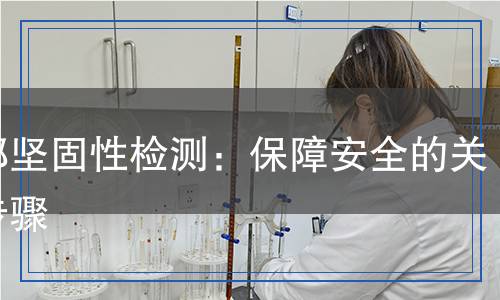 頭部堅固性檢測：保障安全的關(guān)鍵步驟