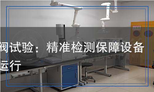 止回閥試驗(yàn):精準(zhǔn)檢測(cè)保障設(shè)備安全運(yùn)行 止回閥試驗(yàn):精準(zhǔn)檢測(cè)保障設(shè)備安全運(yùn)行