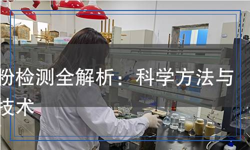 鐵精粉檢測(cè)全解析：科學(xué)方法與關(guān)鍵技術(shù)