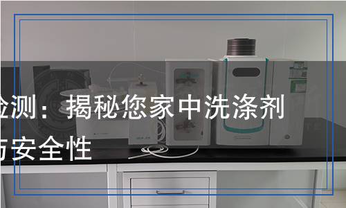 洗滌劑檢測(cè)：揭秘您家中洗滌劑的成分與安全性