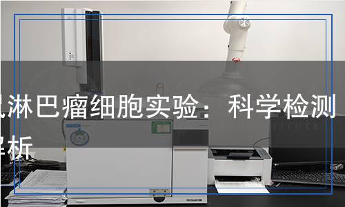 小鼠淋巴瘤細(xì)胞實驗：科學(xué)檢測全解析