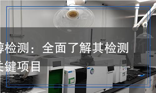 聚乙烯醇檢測：全面了解其檢測過程與關鍵項目