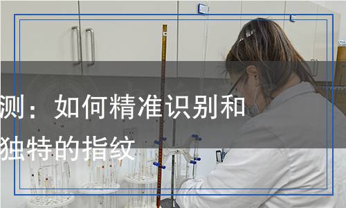 指紋圖譜檢測(cè)：如何精準(zhǔn)識(shí)別和分析每一個(gè)獨(dú)特的指紋