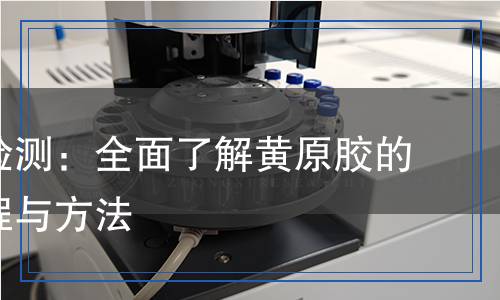 黃原膠檢測(cè)：全面了解黃原膠的檢測(cè)流程與方法