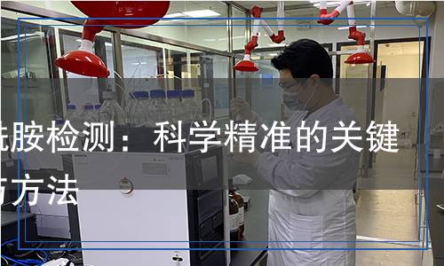 丙烯酰胺檢測(cè)：科學(xué)精準(zhǔn)的關(guān)鍵步驟與方法