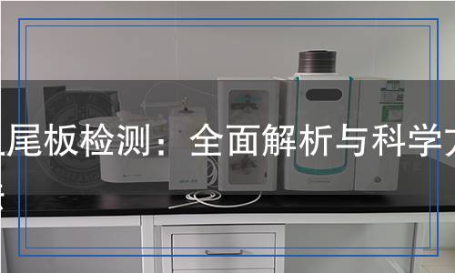 魚尾板檢測(cè)：全面解析與科學(xué)方法