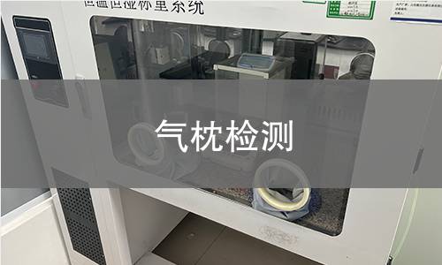氣枕檢測(cè),氣枕檢測(cè)機(jī)構(gòu),氣枕檢測(cè)報(bào)告,北京中科光析科學(xué)技術(shù)研究所檢測(cè)中心