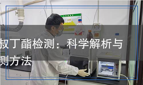 丙烯酸叔丁酯檢測：科學(xué)解析與關(guān)鍵檢測方法
