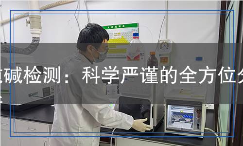純堿檢測：科學(xué)嚴(yán)謹(jǐn)?shù)娜轿环治? title=