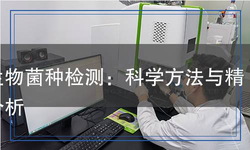 微生物菌種檢測：科學(xué)方法與精準(zhǔn)分析