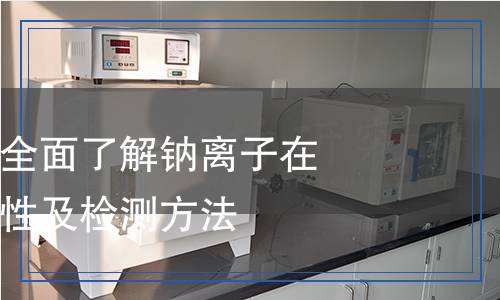 鈉離子檢測(cè)：全面了解鈉離子在科學(xué)中的重要性及檢測(cè)方法