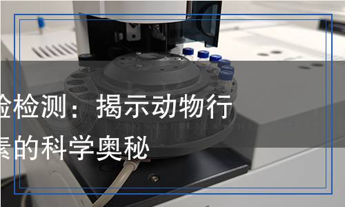 大鼠啃咬試驗(yàn)檢測(cè)：揭示動(dòng)物行為與環(huán)境因素的科學(xué)奧秘