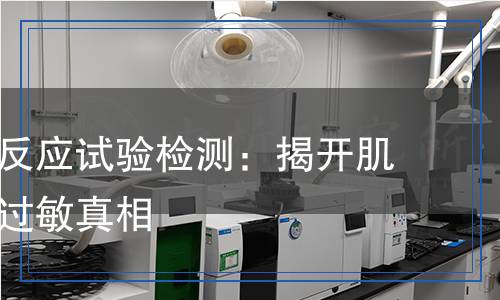 皮膚變態(tài)反應試驗檢測:揭開肌膚隱秘的過敏真相 皮膚變態(tài)反應試驗檢測:揭開肌膚隱秘的過敏真相