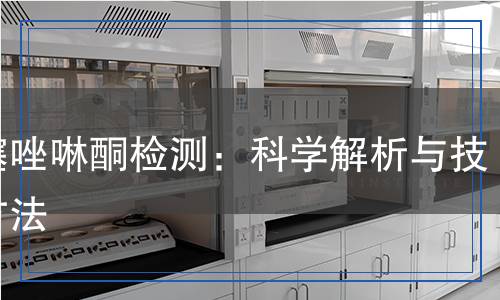 異噻唑啉酮檢測(cè)：科學(xué)解析與技術(shù)方法